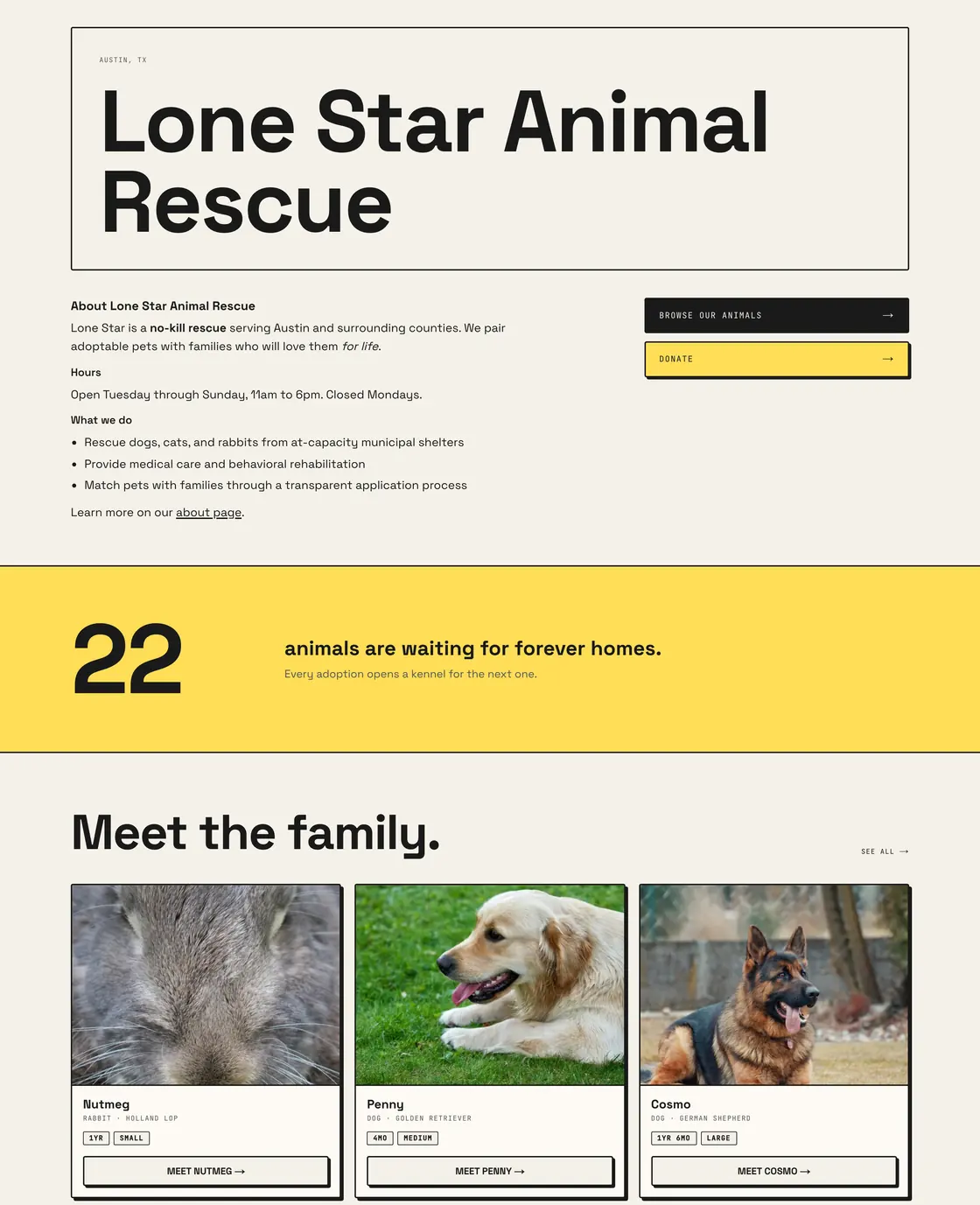 A shelter's own adoption website: their name at full size, their about text and opening hours, buttons to browse animals and donate, a band reading 22 animals are waiting for forever homes, and three adoptable pets with photos.