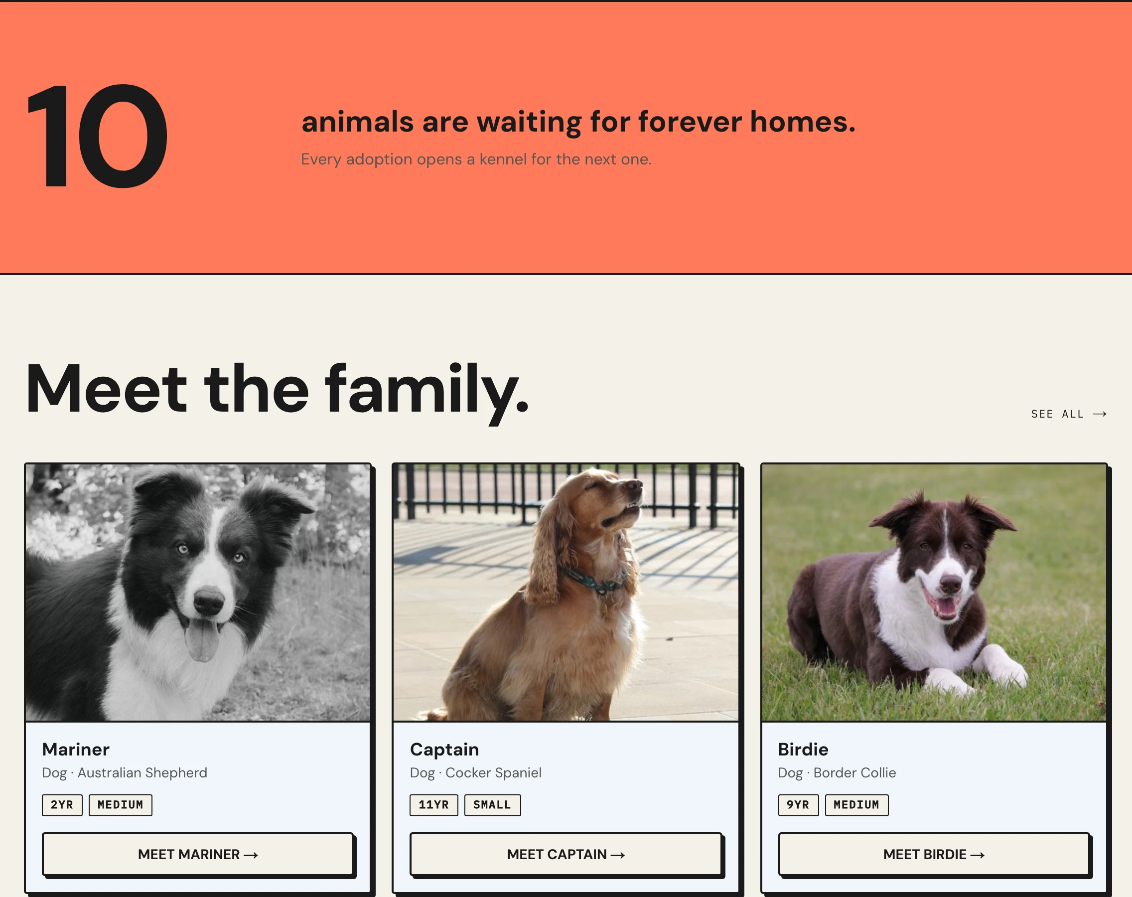 A shelter's own adoption website in their own colors and typeface: a coral band reading 10 animals are waiting for forever homes, then Meet the family and three adoptable dogs, Mariner, Captain and Birdie, each with a photo, breed, age and a button to meet them.